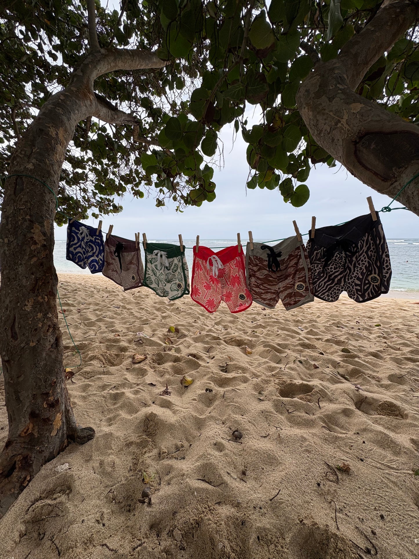 All Day Board Shorts